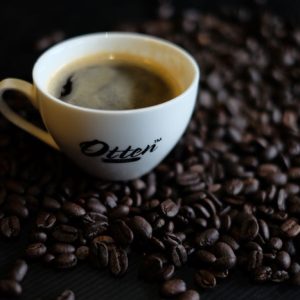 arabica